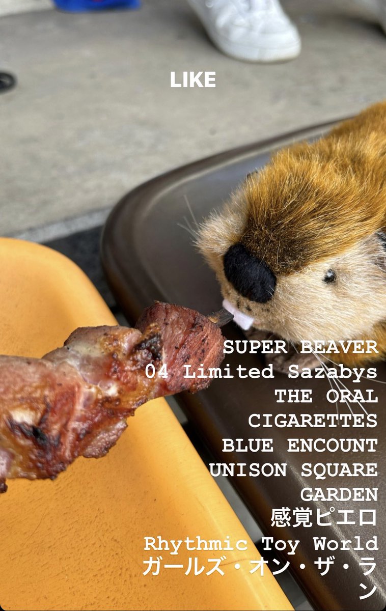 遼@STELLA GEAR Albion tweet media