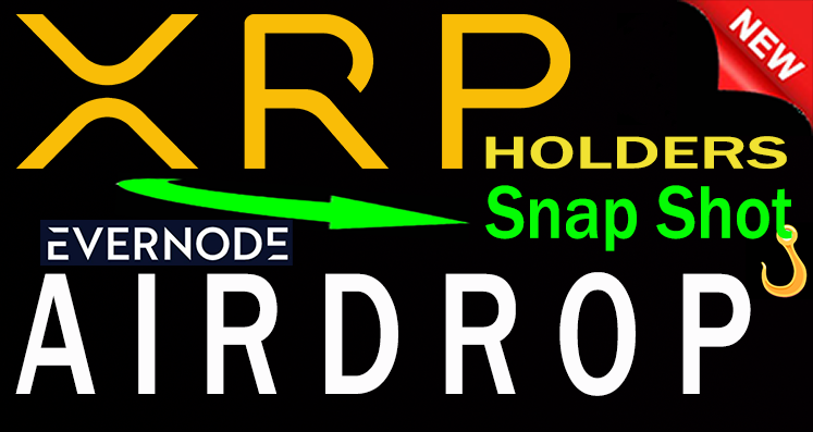 🌸Eri ~ Carpe Diem tweet media