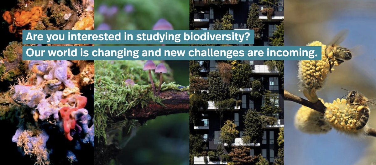 Several positions for PhD grants (National Biodiversity Doctorate) are looking for the best candidates. Deadline: August 17th. Don't miss this opportunity! Here is the link to the application form: 
unipa.it/didattica/dott…
