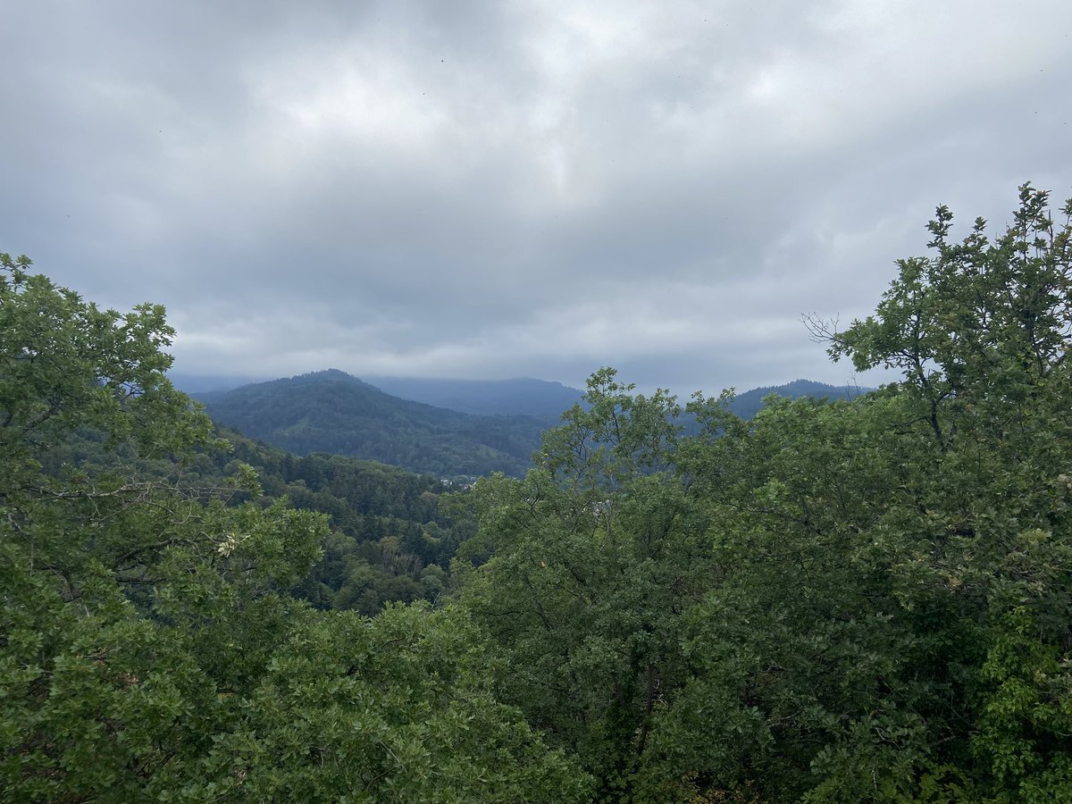AClarky76's tweet photo. Worth it for the view x https://t.co/bULTEaKtnm