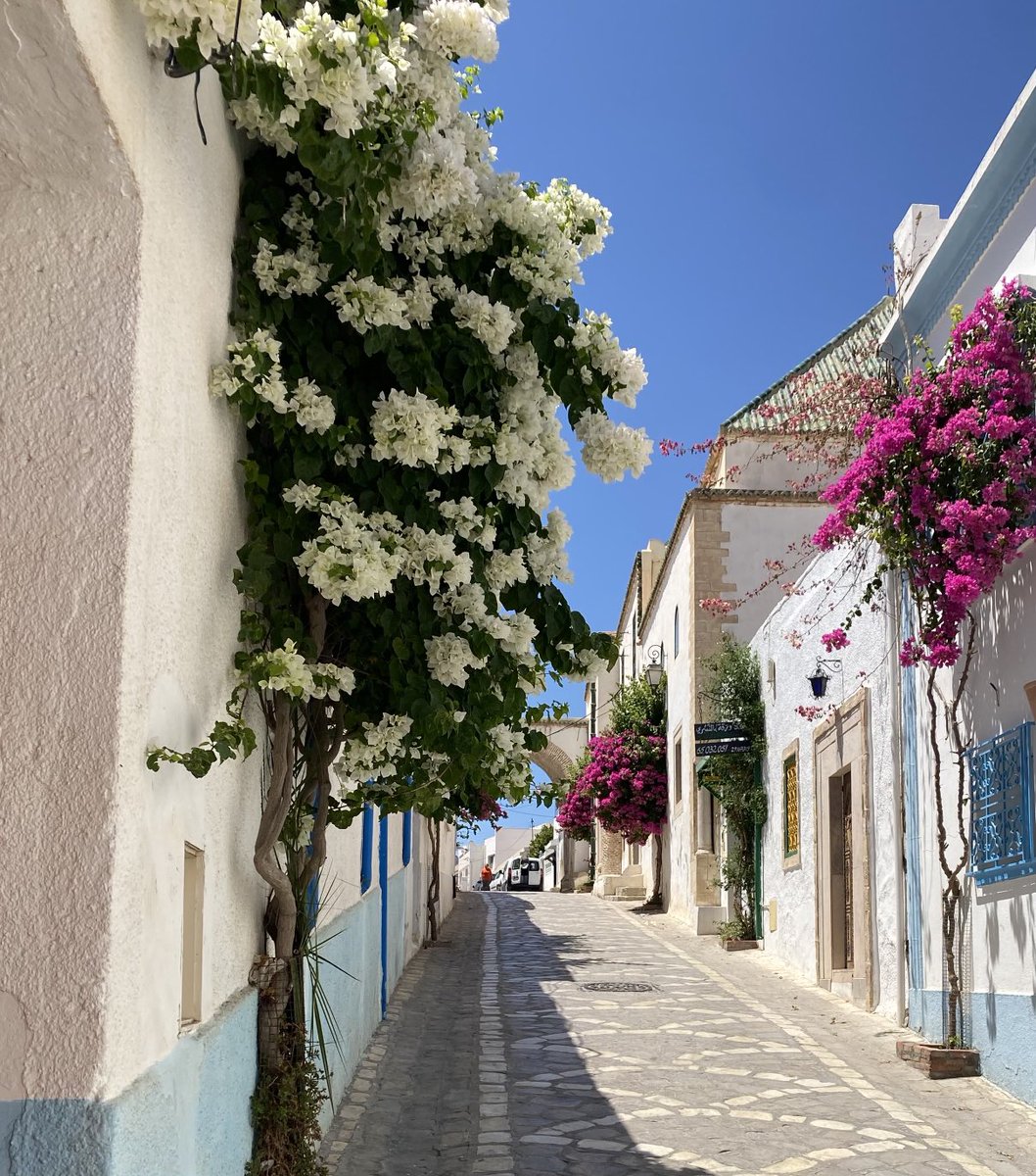 Boualem Salmi🔻 tweet media