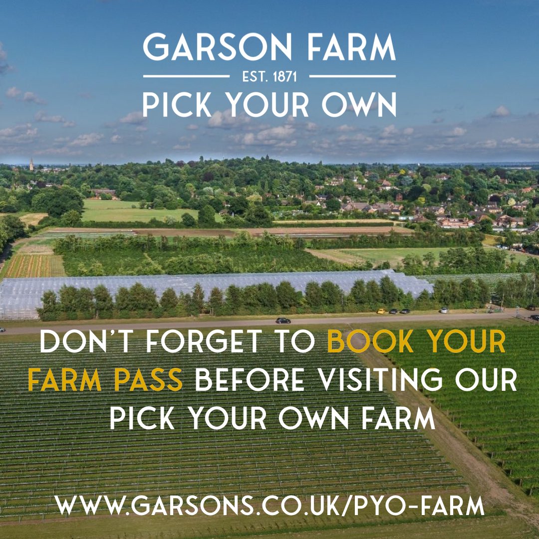 Garsons_Esher's tweet photo. Link in bio. #garsons #pyoatgarsons #pickyourownfarm #pyo #pyofarm https://t.co/fUBuaP0yrT
