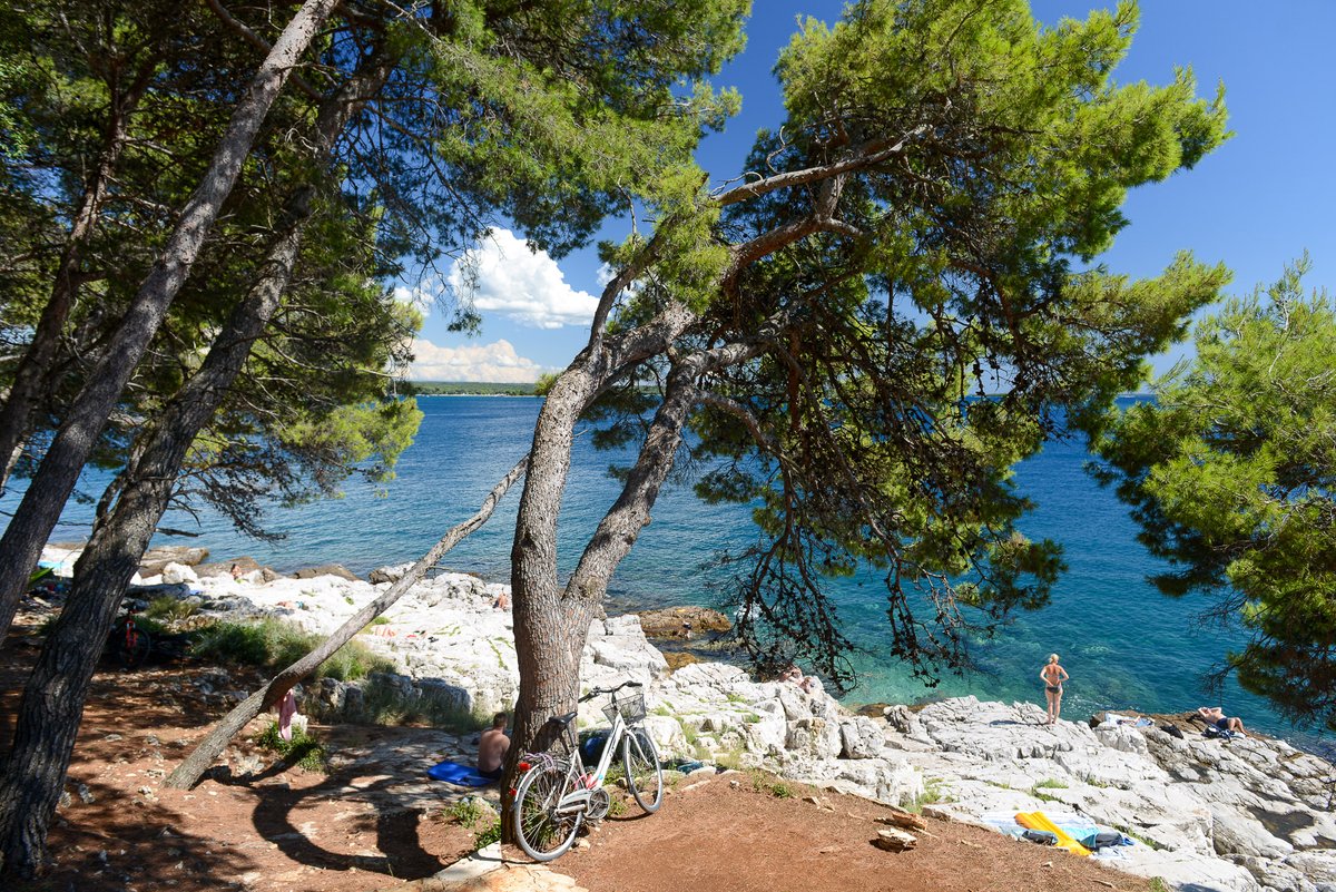 Pfeffer_Blog's tweet photo. #Rovinj gilt nicht nur als eine der schönsten Städte von #Kroatien, sondern ist die perfekte Basis für eine Reise nach #Istrien. Neun Tage bleiben wir und erkunden von hier aus die sehr grüne Halbinsel. Mehr dazu demnächst auf #woderpfefferwaechst.

@Rovinj_official #Travel https://t.co/29LjwkmnM9