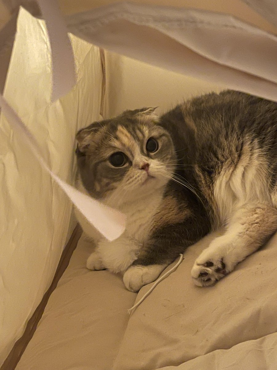 วัตถุทรงกลมมม คอหาย