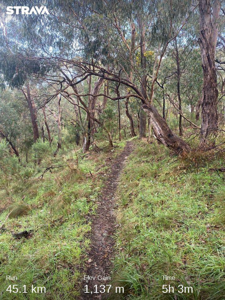 DavidGr06995622's tweet photo. 45k training run through the awesome trails of Plenty Gorge. My training for Surf Coast Century 100k next month is on track but more importantly I’ll be running 60k’s for Kidney health in October! #Redsocksrun #Trailrunning
Check out my run on Strava.
https://t.co/MB9oekbn0X https://t.co/i25DEJYNpY