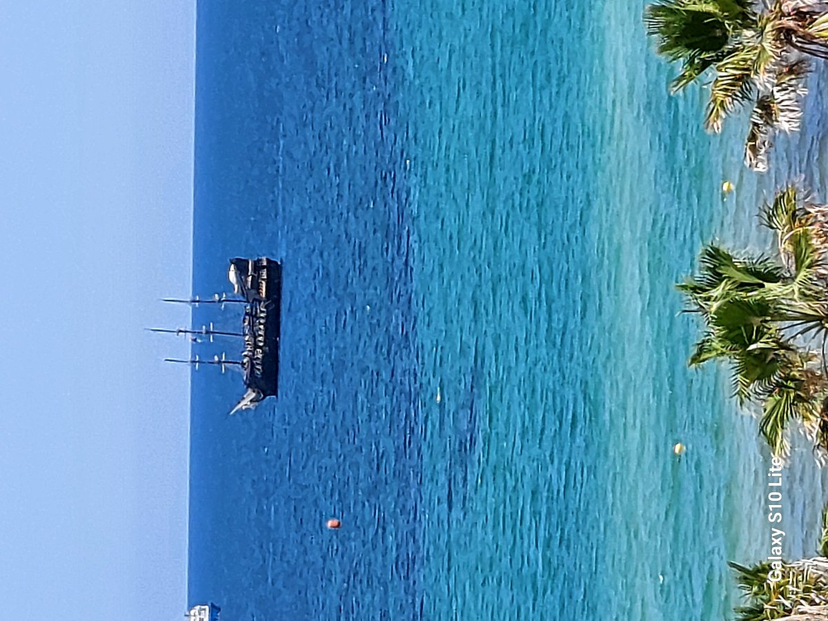 Cryptolics tweet media