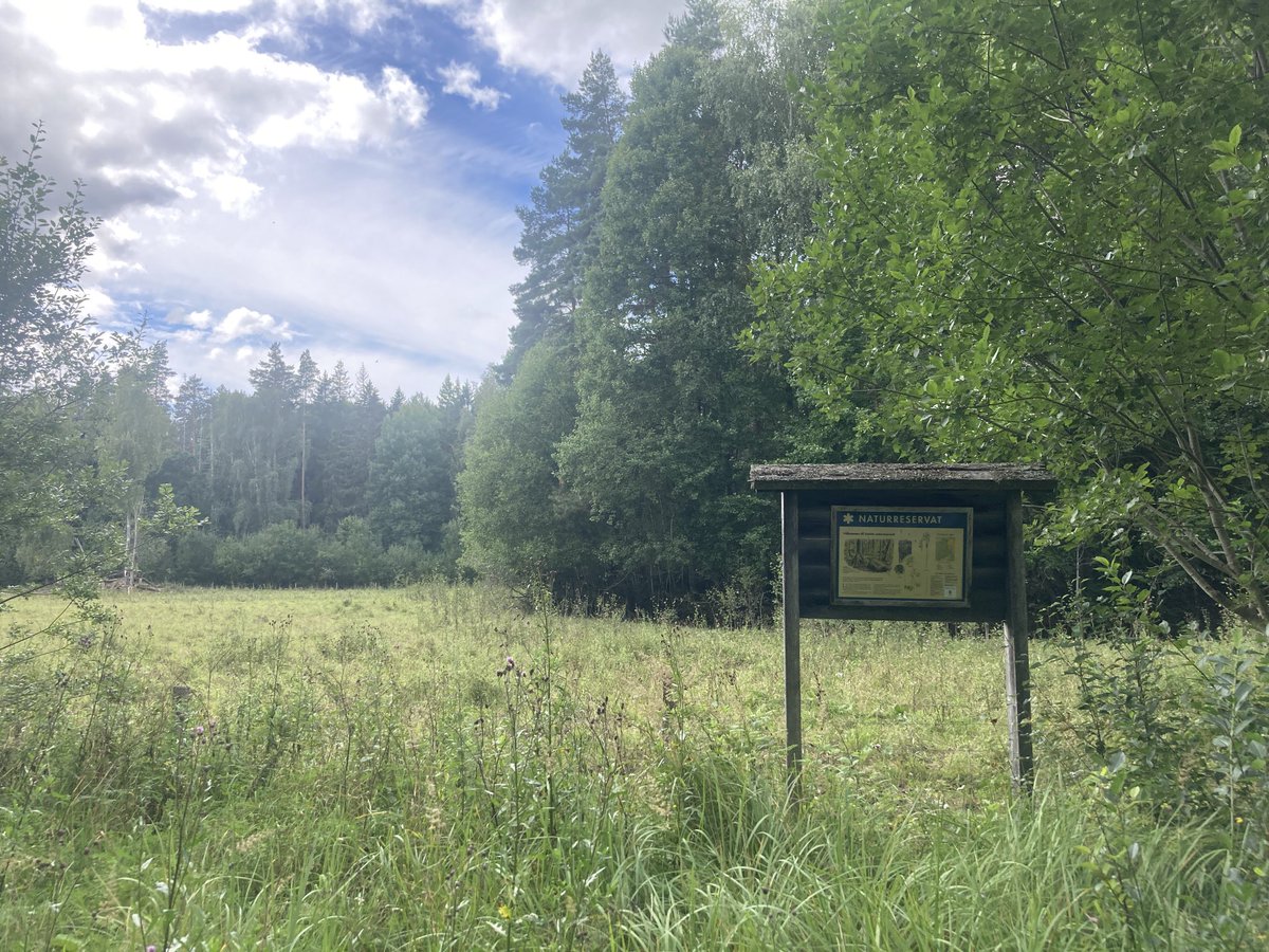 … puhvelijugurttia ja kypsytettyjä puhvelinmaitojuustoja, näytti kuvia puhvelien laiduntamista keltalammikkirannoista ja lähti sitten hakemaan laitumelta lypsylle 3-15 vuotiaita pulskia puhvelilehmiä 😊 Kiitos Pontus, Linda ja Nordic waterbuffaloes!