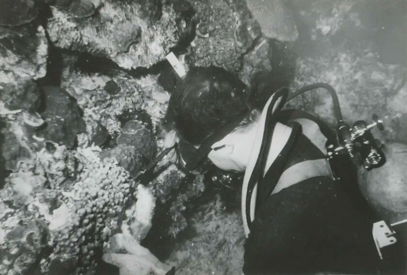 SEVENSEAS_Media's tweet image. #Humans like to name things, placing monikers on everything around us—cliffs, #coves, #bays, anything of #geographic significance. sevenseasmedia.org/storied-seas-t…