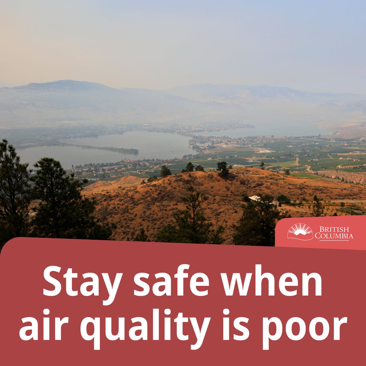 #BCWildfire smoke is causing poor air quality. Reduce your time outdoors, exercise indoors, keep windows closed and pay attention to air quality reports. Seniors, young children and people with chronic health conditions should take extra precautions. bccdc.ca/health-info/pr…