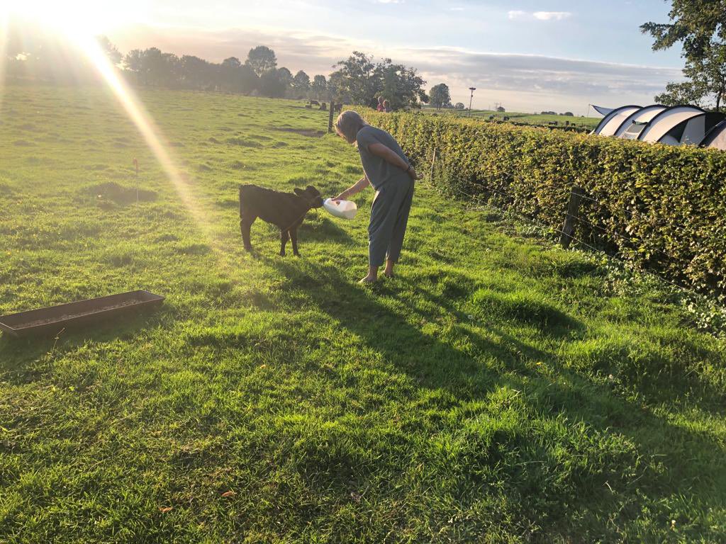 Boerhoes's tweet photo. Als de boerin roept komen want dan zit er wat lekkers in het vat; Boerhoes Bodil leert snel. Pottenkijkende gasten of niet 😅 #stoeremeid https://t.co/GDjznJTU7O