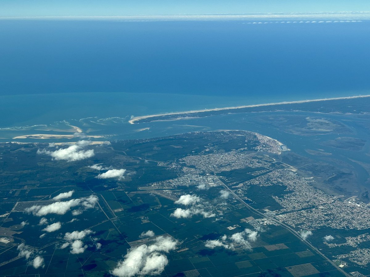 ıuɐpɹoıƃ sɐloɔıu tweet media