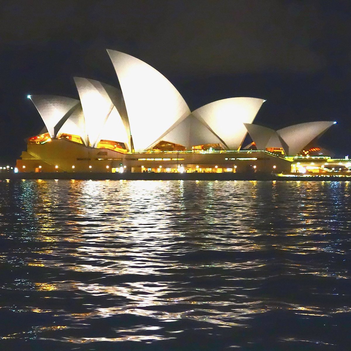 And that’s a wrap. The exciting Women’s World Cup is over, and Australia can go back to just being wonderful.
