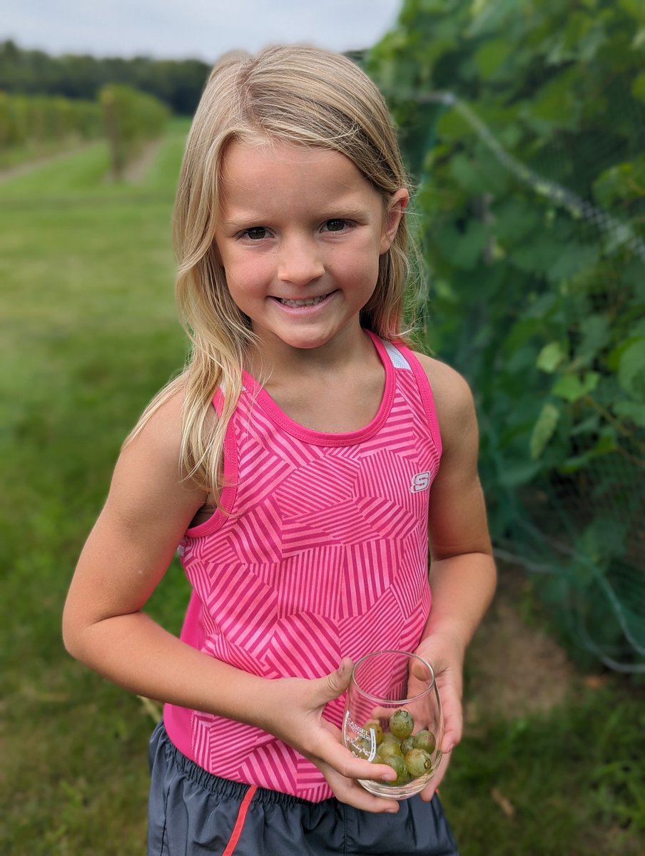 Matthew Elsass tweet media