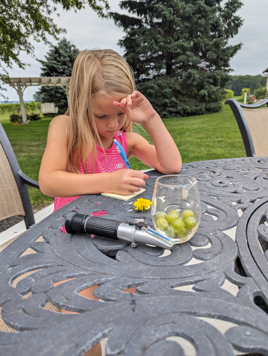 Matthew Elsass tweet media