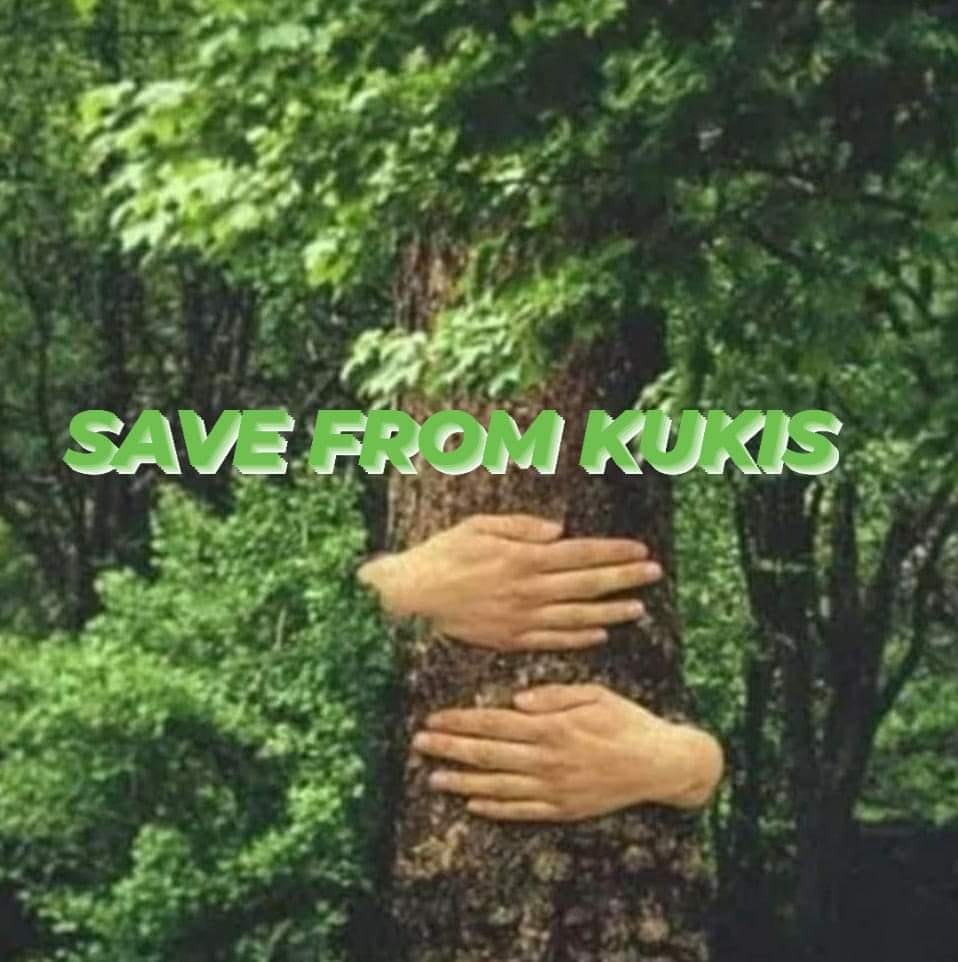 meiteiheritage's tweet photo. "Save from Kukis" - prays the trees and forest! 

With the impact of mass deforestation for poppy plantation, the trees even pray to God to save from them.

#KashmiriPandits1990 #Meiteis2023 #SaveMeiteis #kukiterrorists #kukimilitant #illegalimmigrants #ManipurUnderAttack #ManipurViolence #kukilies #SaveMeitei #SaveManipur #Save_Meitei_Save_Manipur #MeiteiHaiTohVikasHai

@AbhijitChavda @abhijitmajumder @DivyaSoti
@RituRathaur @pushkal_dwivedi @VeteranLNSingh
@MNageswarRaoIPS @AskAnshul @ajeetbharti
@KreatelyMedia @abhijitmajumder @facet9949
@KanchanGupta @TheIndianJosh @RebellionArtis7
@tehseenp @parshuram098562 @SriHariBhakt
@vhsindia @attorneybharti @OfficialBKU
@DevenBhartiIPS @smritiirani @UrmilaMatondkar
@vivekagnihotri @Swamy39 @SanatanTalks
@mrsinha @BabaKPS86 @ajeetbharti @ramindesai
@RajatSethi86 @EkamSBharat @HinduDharma1
@SanatanSanstha @HinduWatchDog @VHPDigital
@Pamphlet_in @DireARTOfGod @anuragdixit1988
@trollove1 @PMOIndia @AmitShah