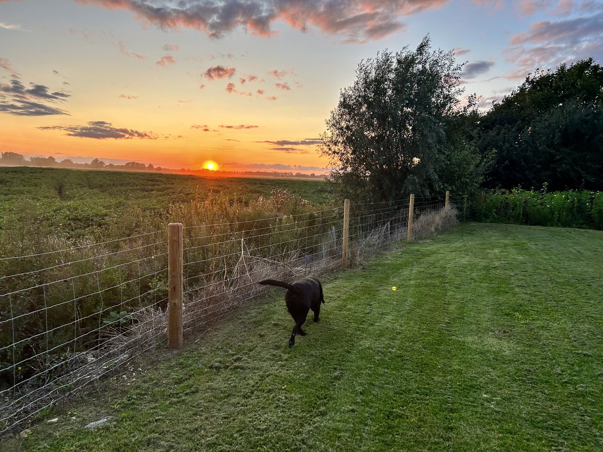 How can you not love where you live…. ⁦<a href="/LoveWestNorfolk/">Love West Norfolk</a>⁩