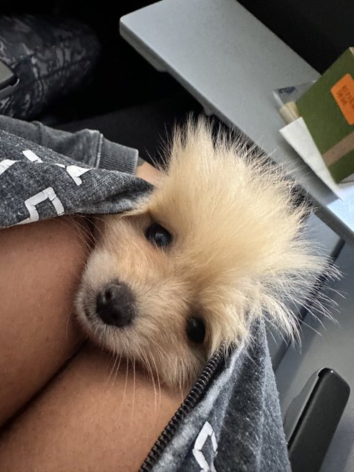 peek aboo 🥰❤️ https://t.co/2oiQHg7I09