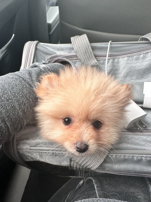 peek aboo 🥰❤️ https://t.co/2oiQHg7I09