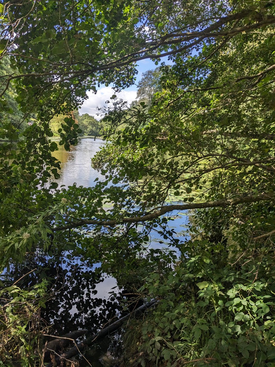 Debs Cooper RN tweet media