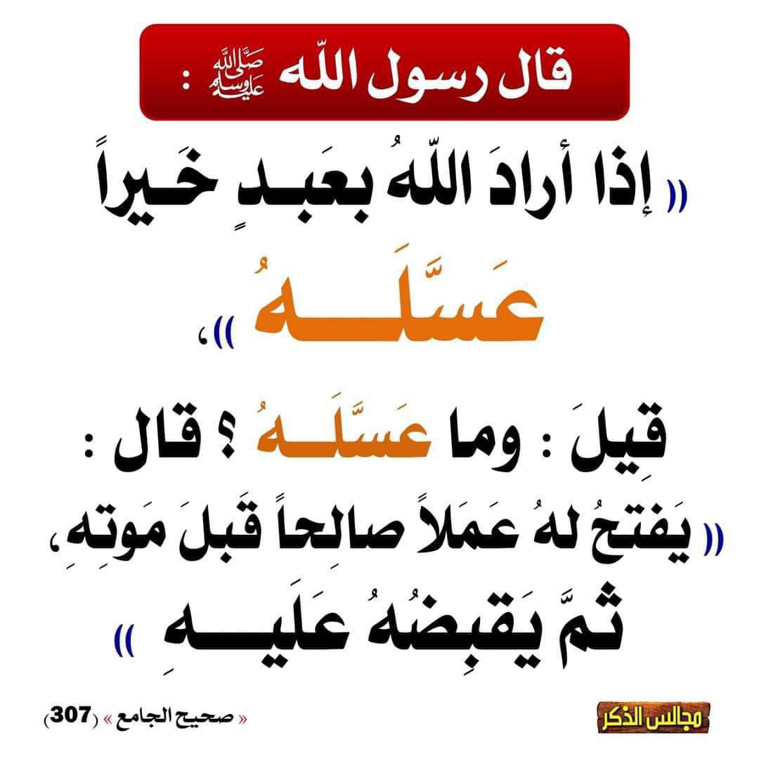 🍃روح الحياة A*Z🍃 tweet media