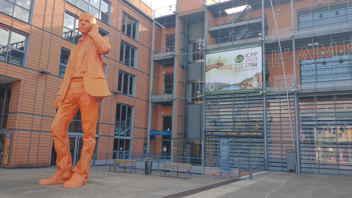 icpp2023's tweet photo. Lyon is proudly hosting for the 1st time the International Congress of Plant Pathology from 19-25 august 2023. Researchers from around the world will meet in France to discuss their latest research as well as current and future issues facing plant health experts. 1/2 https://t.co/Kf2FkS9DW0