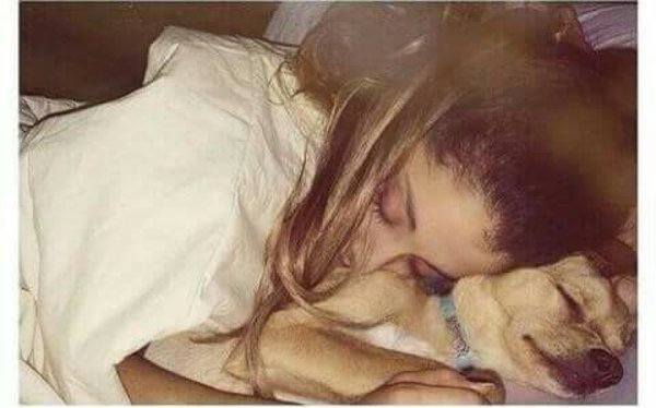 🌟ꄟꋬ꓄꒐ꃬ ꑄꏂꋪꀘꏳ꒐ꑓꋬꂟꏂ🌟🇹🇷 tweet media