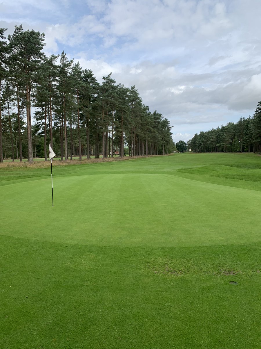 ArnieMcKay's tweet photo. 3 days, 3 different courses ⛳️ 👌😎  @reido1290 https://t.co/fuMehVH5Kv