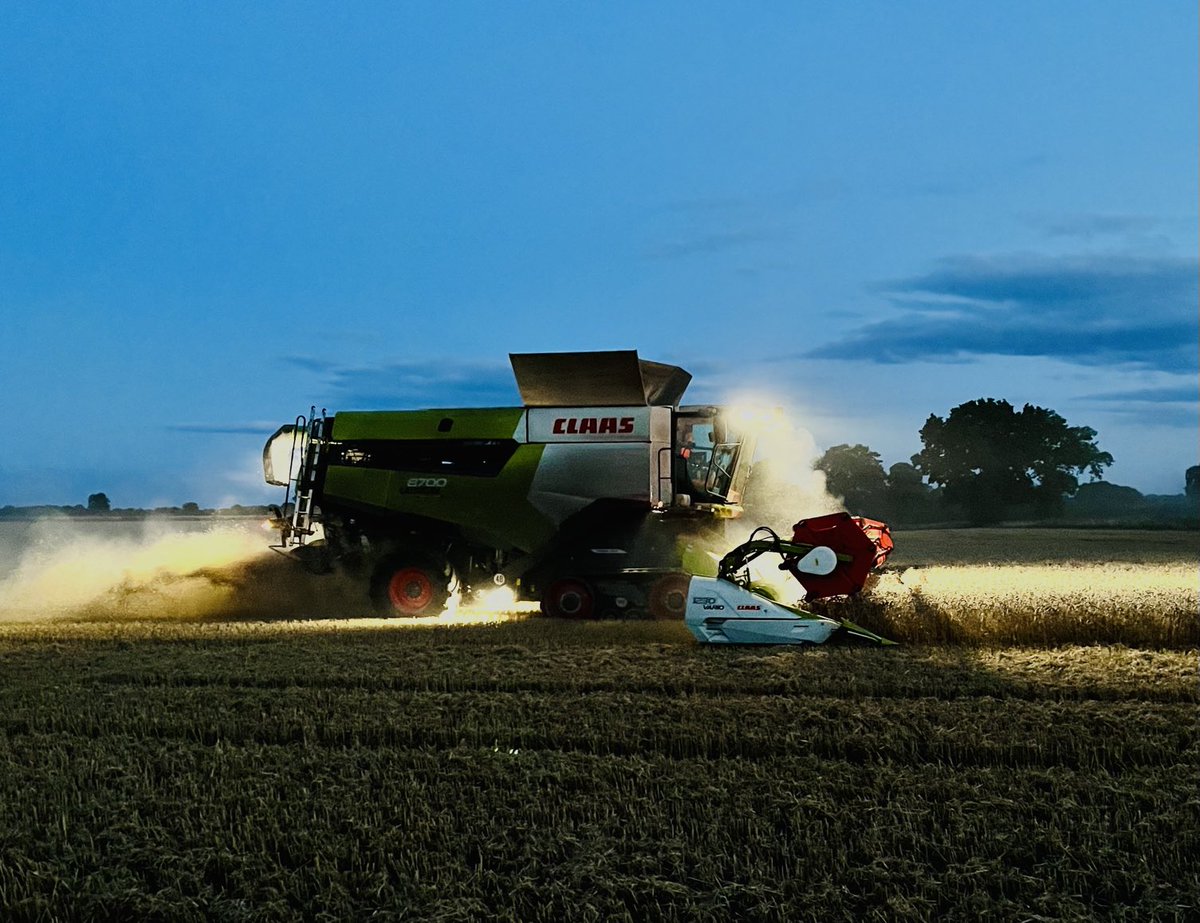 Into the night #harvest23