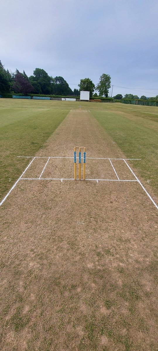 grover__1's tweet photo. Despite another defeat, the away teams this season average score is 244. Is it good pitches, good batting or bad bowling https://t.co/j9vtlEawDA