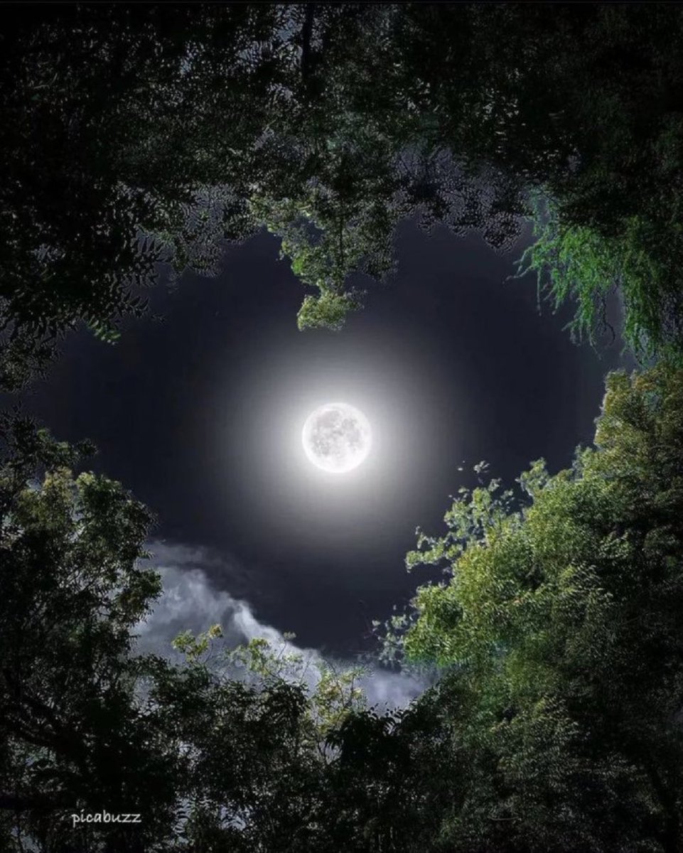 M1ONLOVER's tweet photo. Are Full Moon lovers here ? https://t.co/pcVSUZNsvB