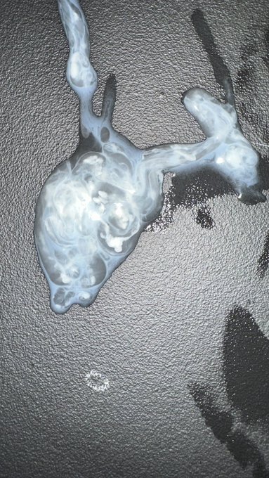 A whale of a time 💦 https://t.co/mxlMUbTp8P<a href="/tag/fartfetish"class="tags"><span>#fartfetish</span></a><a href="/tag/gassy"class="tags"><span>#gassy</span></a><a href="/tag/eproctophilia"class="tags"><span>#eproctophilia</span></a><a href="/tag/fartslave"class="tags"><span>#fartslave</span></a><a href="/tag/fartsniffer"class="tags"><span>#fartsniffer</span></a>