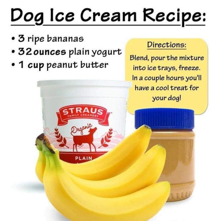 Pets_World_Over's tweet photo. Dog Ice Cream Recipe https://t.co/olxgsFCxqy