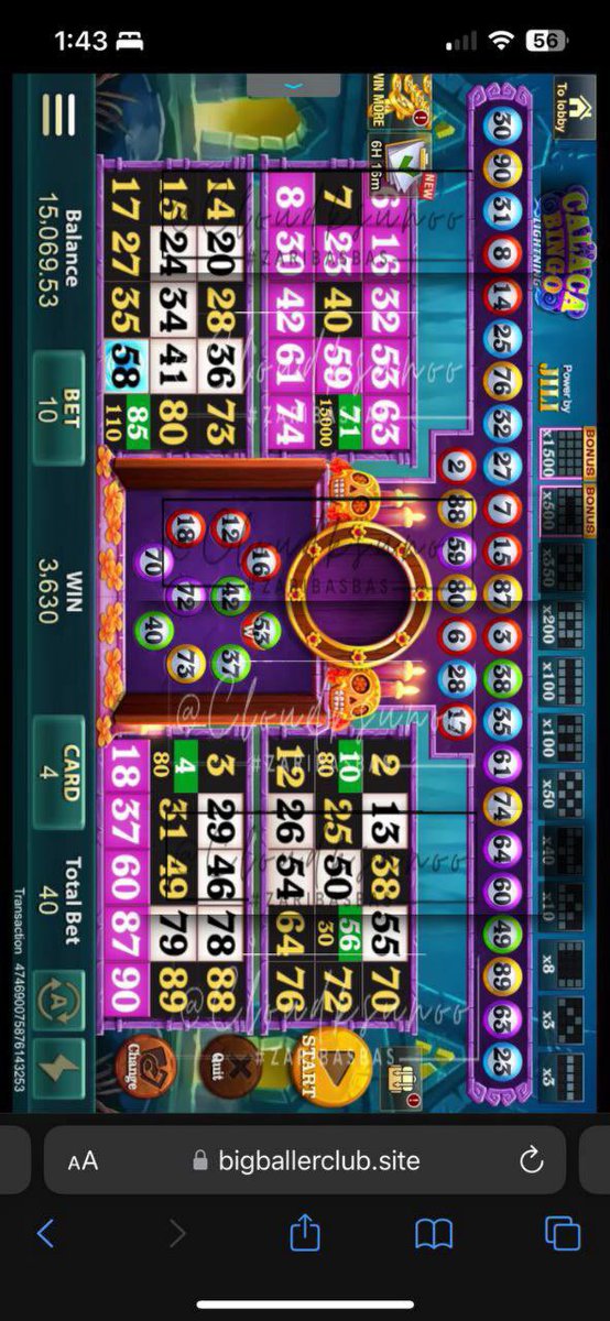 zari ✨ tweet media