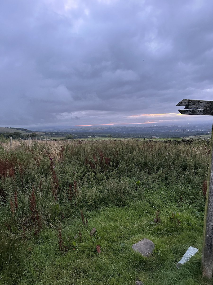 ORidgr's tweet image. 5 am dog walk