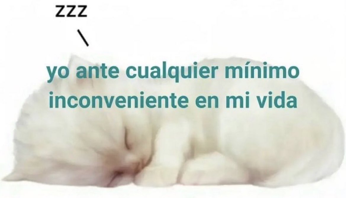 Rolita (@_onerolita) on Twitter photo 