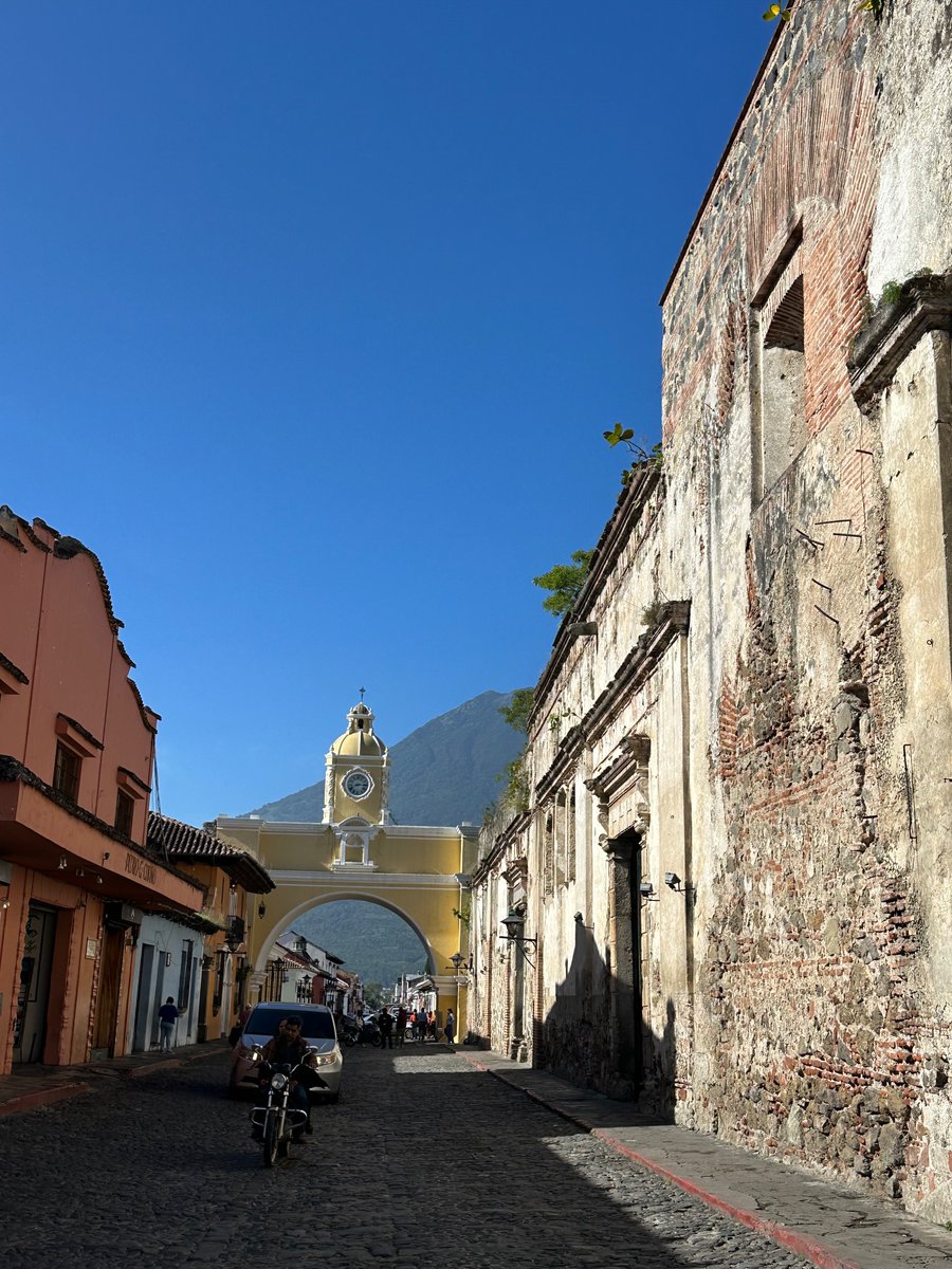 miakinder's tweet photo. Lindy walking in Guatemala. Presidential election here today. Everyone heading to church. Pomegranates growing freely over the sidewalk. 

@PaulSkallas https://t.co/xrykxNYdgt