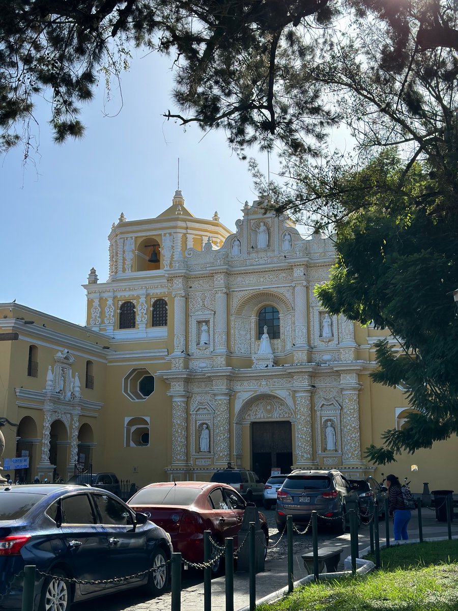 miakinder's tweet photo. Lindy walking in Guatemala. Presidential election here today. Everyone heading to church. Pomegranates growing freely over the sidewalk. 

@PaulSkallas https://t.co/xrykxNYdgt