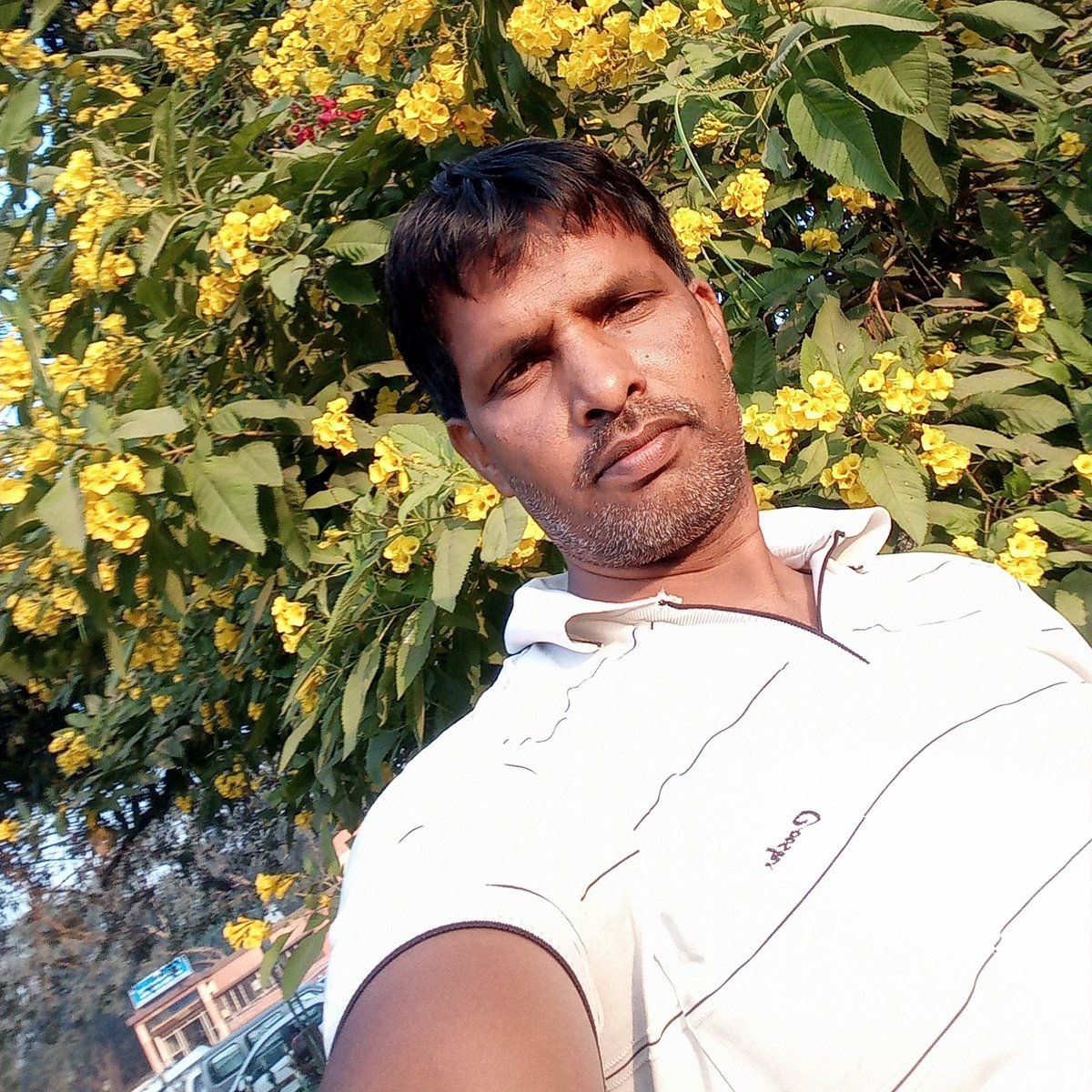 Mohan Lal Shah tweet media