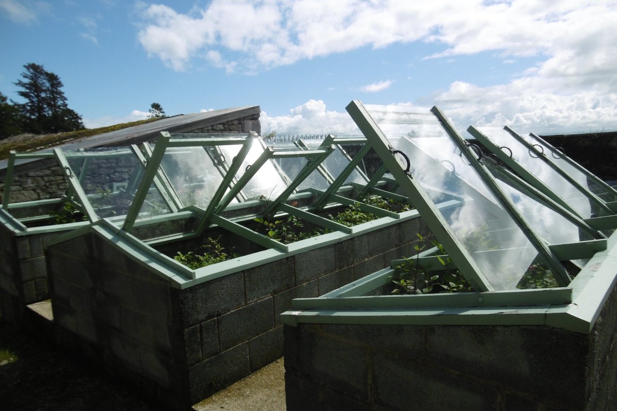 ScarisbrickRept's tweet photo. Passing the #coldframes At the top of the garden is the #PalmHouse The busts on the façade are of the gardening heroes & heroines of the owner. The threshold has a wonderful pebble mosaic leading to the lushly planted interior. https://t.co/YbsVxrvxsC