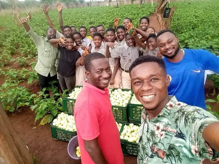 School Farm Project, let make Agriculture attractive