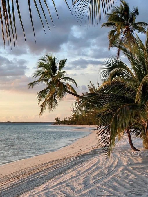 where I’d rather be