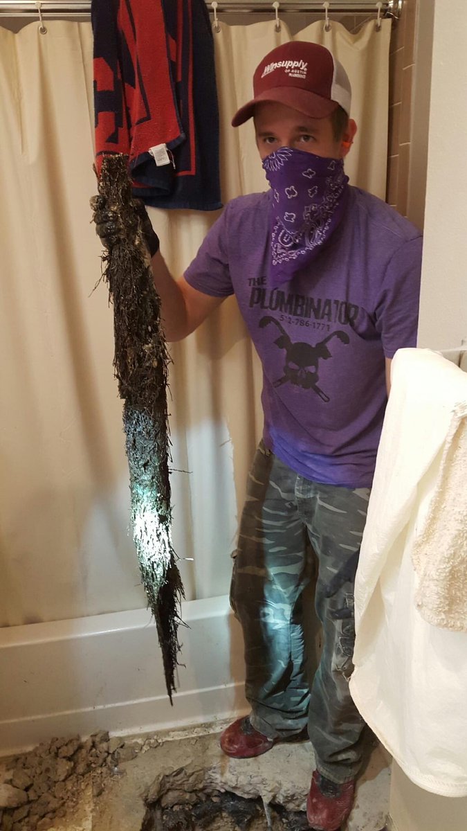 ThePlumbinator1's tweet photo. Texas trees LOVE to weave their tiny tendrils into any crack in your pipes (or make their own crack) and multiply inside. We can clear your pipes and replace the broken areas. 512-786-1771. #texastrees #Austin #austinplumbers https://t.co/XLIbsyOL93