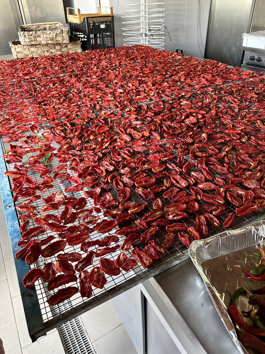 mkidj's tweet image. Great day at #LaValleIncantata cousin agritourism #Gerace 🌶️ 🏊‍♂️