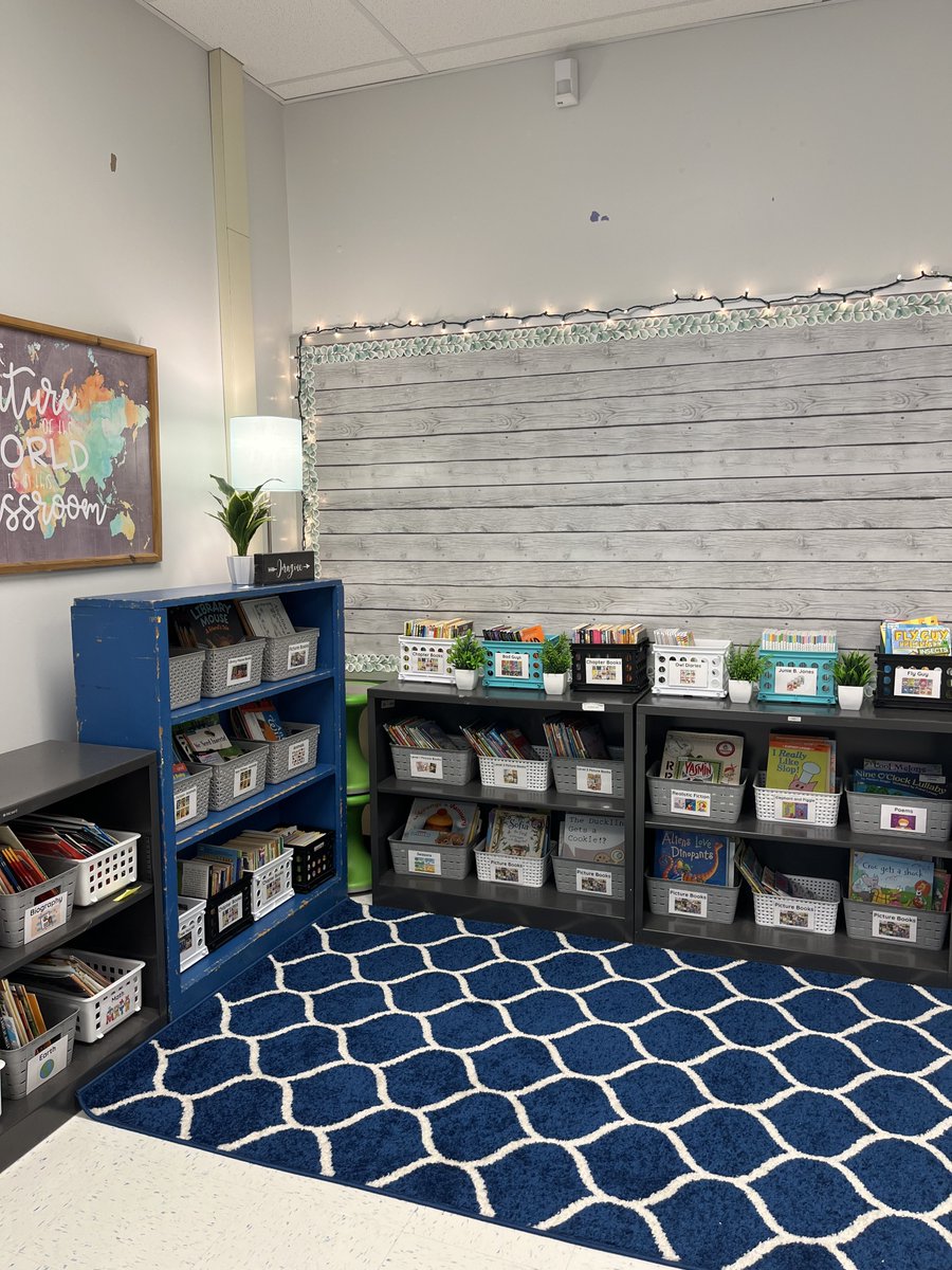 MsY_2ndGrade's tweet image. @RyanBartlett School starts TOMORROW 

It would mean the 🌎 if I could get some items cleared! Down to my last 13 items!!  

Storage bins and broom are currently our highest need but any donations are much appreciated! 💕

amazon.com/hz/wishlist/ls…