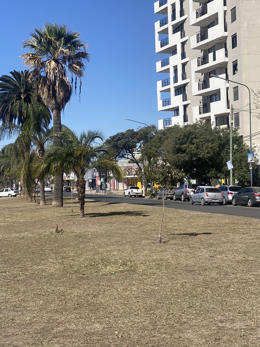 NoraBedano's tweet photo. Domingo en mi hermosa ciudad, VillaMaria, sus Boulevares, sus edificios, es tan bella, luminosa, agradable.
#elProyectosigue https://t.co/hfbKcplOlT