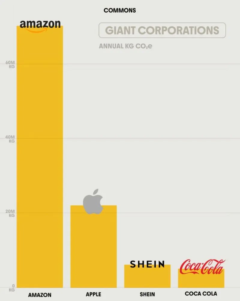 The Story of Stuff Project tweet media
