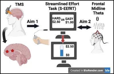 Dr. Miriam Sklerov, of the Neurology Movement Disorders Center at UNC recently won a K23 through the NIMH, for her project, "Investigation of non-invasive brain stimulation for the treatment of apathy!" Congratulations! #Award #Neurology #MovementDisorder #Parkinsons