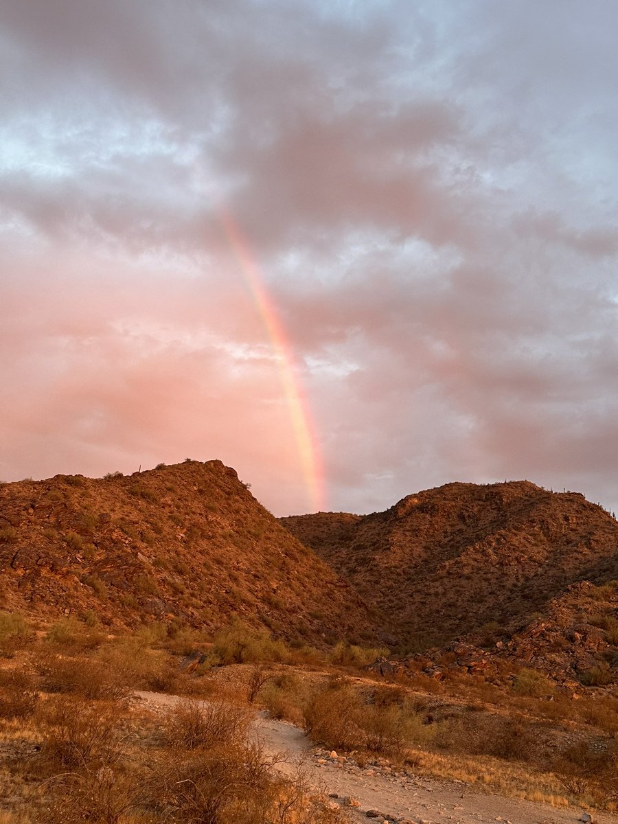 Travis Egbert tweet media