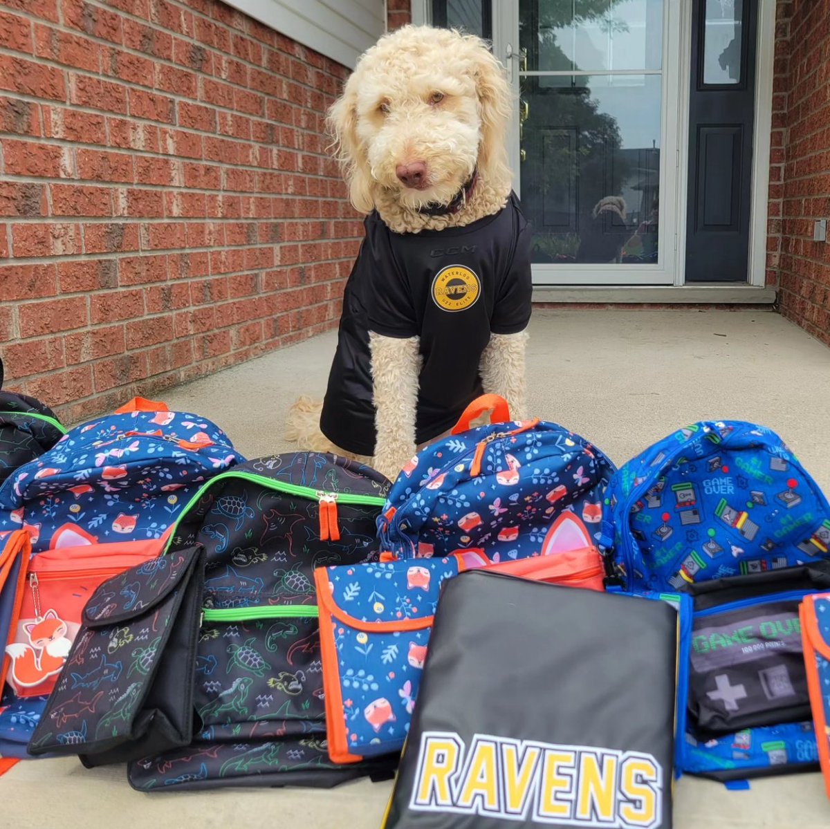 WlooRavensU22AA's tweet image. Hey furiends!!! It&apos;s me, #Ravendog London. I am here to remind all of you to get your #packpacks for the @WRPSToday #backpackchallenge. 
Tomorrow night a furiendly officer will drop by RIM at our first official #Raven training camp to collect our donations. 
1/2