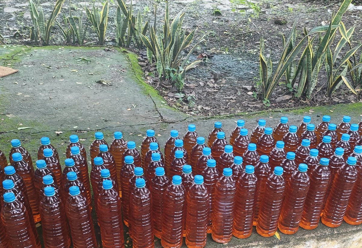 Satya_Bina's tweet image. #KachchiGhani #Mustered_Oil 
Healthy Authentic Pure 
By #Ujjwal_Bhavishya_FPO Bina 
@MOFPI_GOI